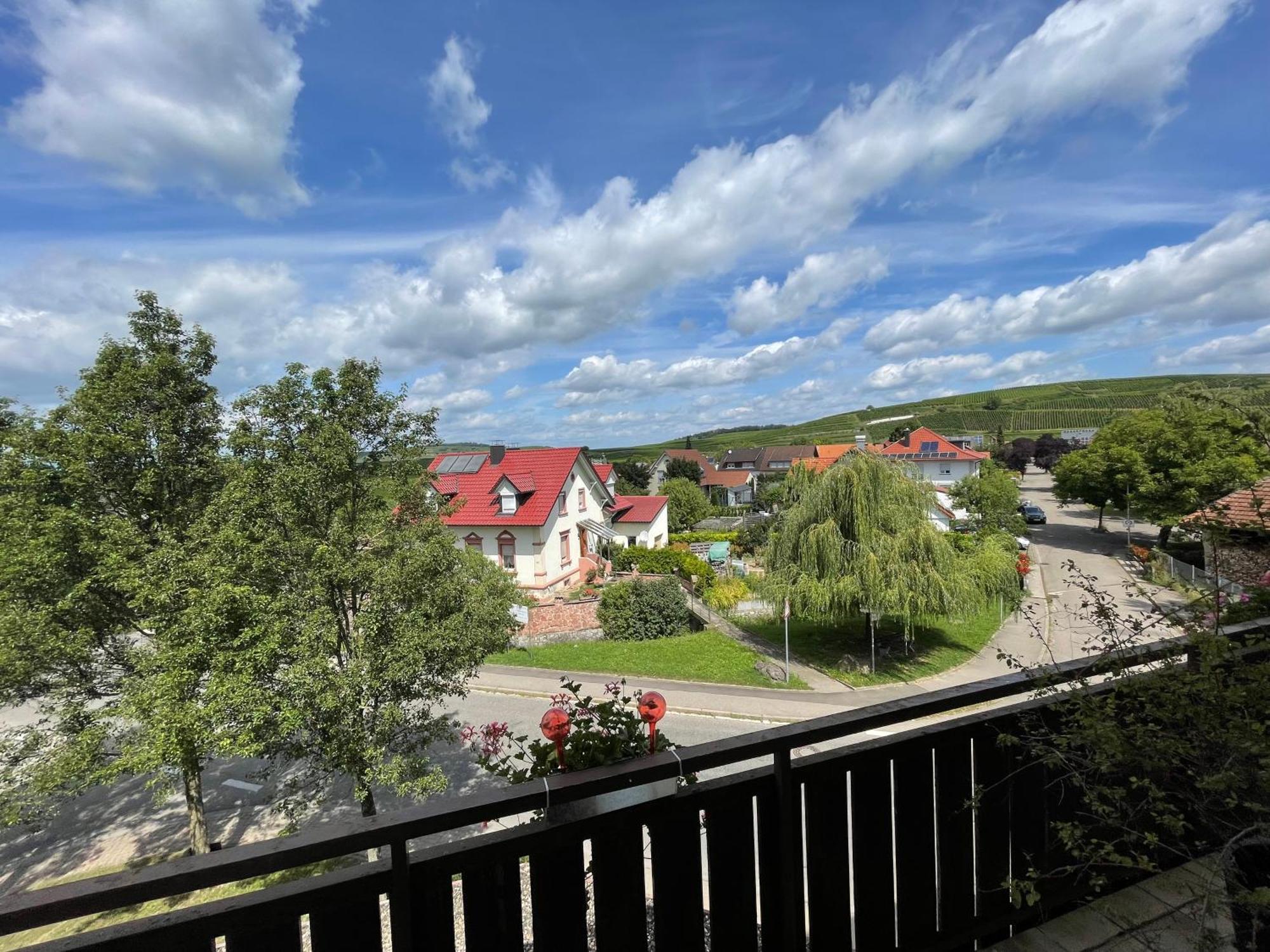 Zum Rayers Cafe-Restaurant & Boutique-Hotel Niederrotweil Экстерьер фото