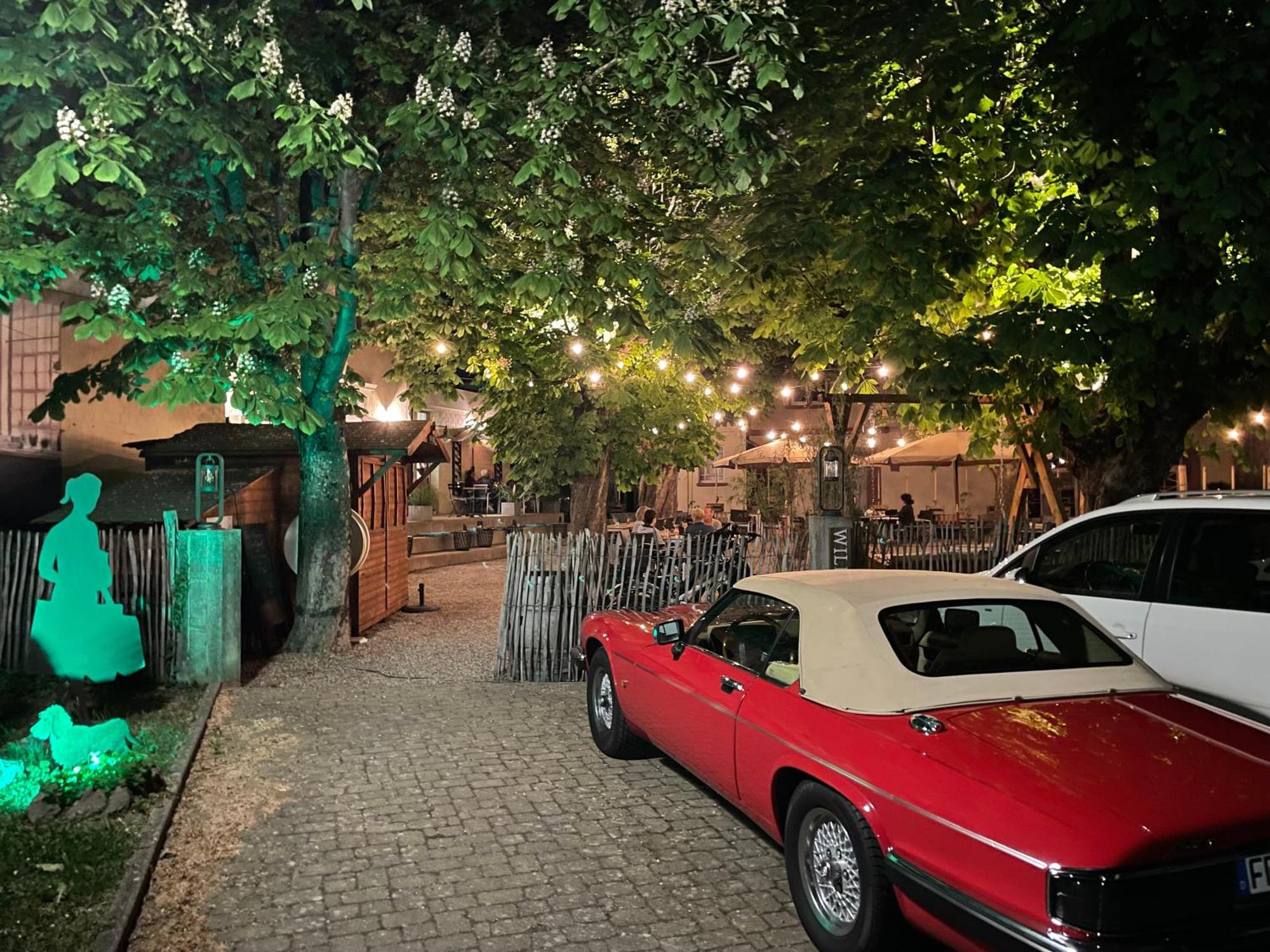 Zum Rayers Cafe-Restaurant & Boutique-Hotel Niederrotweil Экстерьер фото